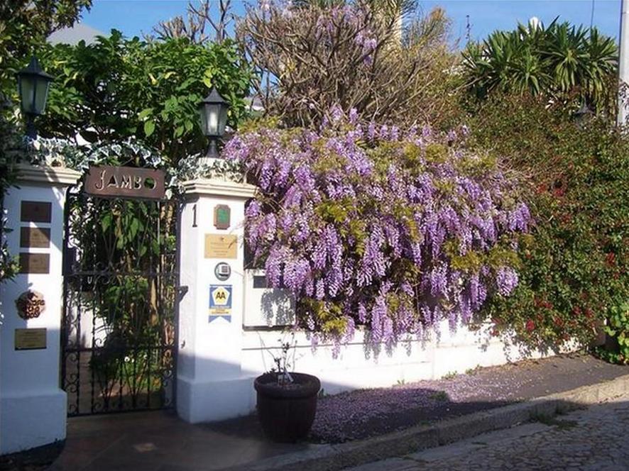 Jambo Guest House Cape Town Bagian luar foto