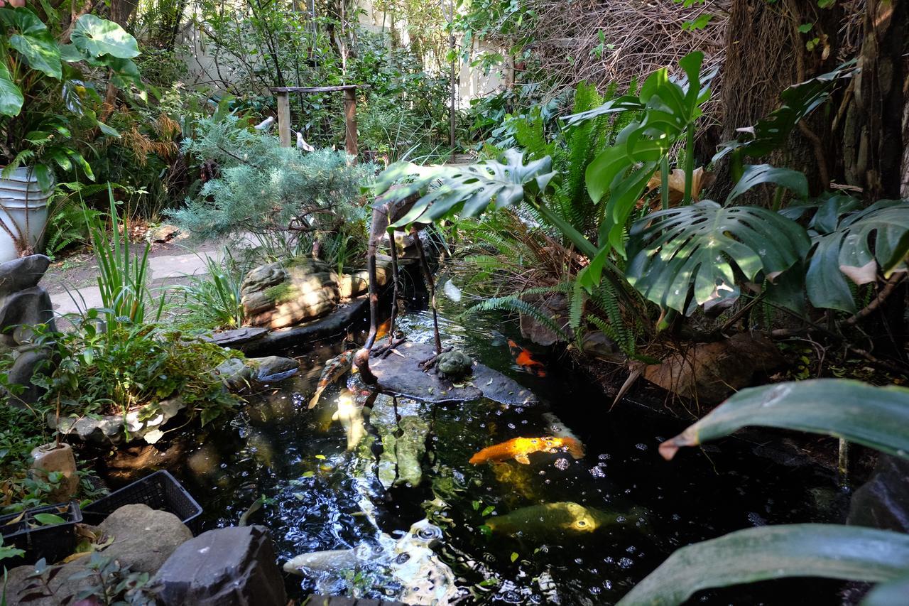 Jambo Guest House Cape Town Bagian luar foto