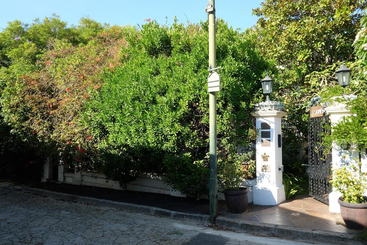 Jambo Guest House Cape Town Bagian luar foto